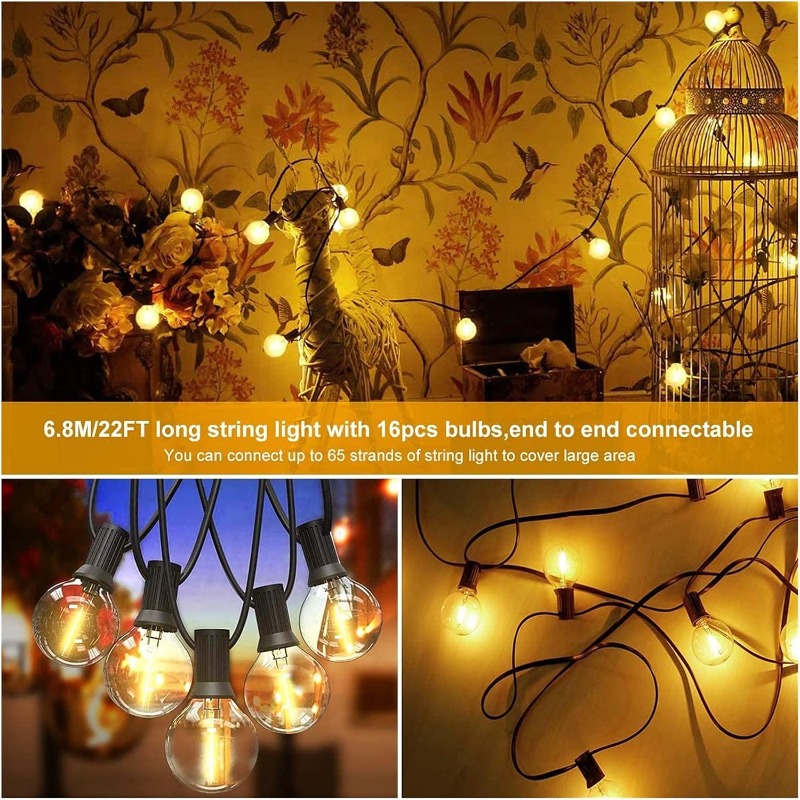 LED屋外ライトストリング 64フィート G40 ガーデンテ - Outdoor Lighting Effects のレビューと価格